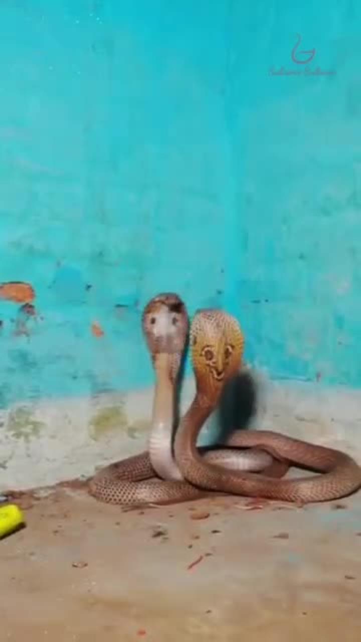 九游网页版官网入口-关于史上最精彩的“瞬间对决”：谁的表现最令人震撼？的信息