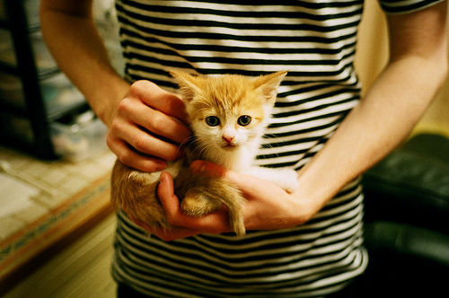 九游娱乐(jiuyou)官方网站-埃弗顿主场战胜阿斯顿维拉，英超保级形势良好，埃弗顿vs阿斯顿维拉比分预测