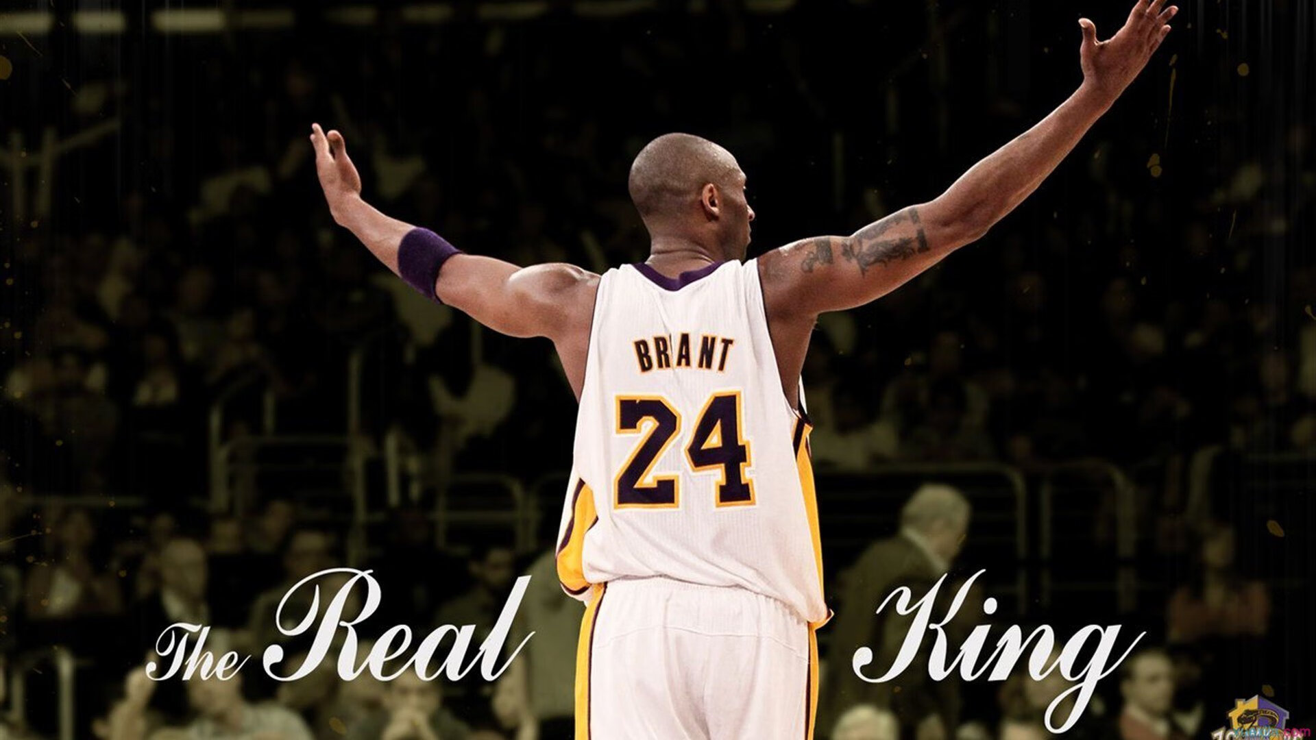 掘金主场再胜约基奇连续大三双,掘金约基奇合同