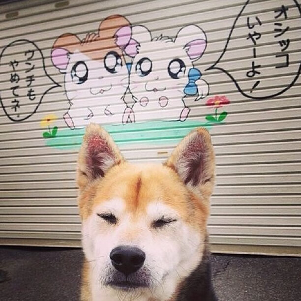 九游娱乐(jiuyou)官方网站-格鲁塞技术动作精准无误，格鲁竞技-glubet